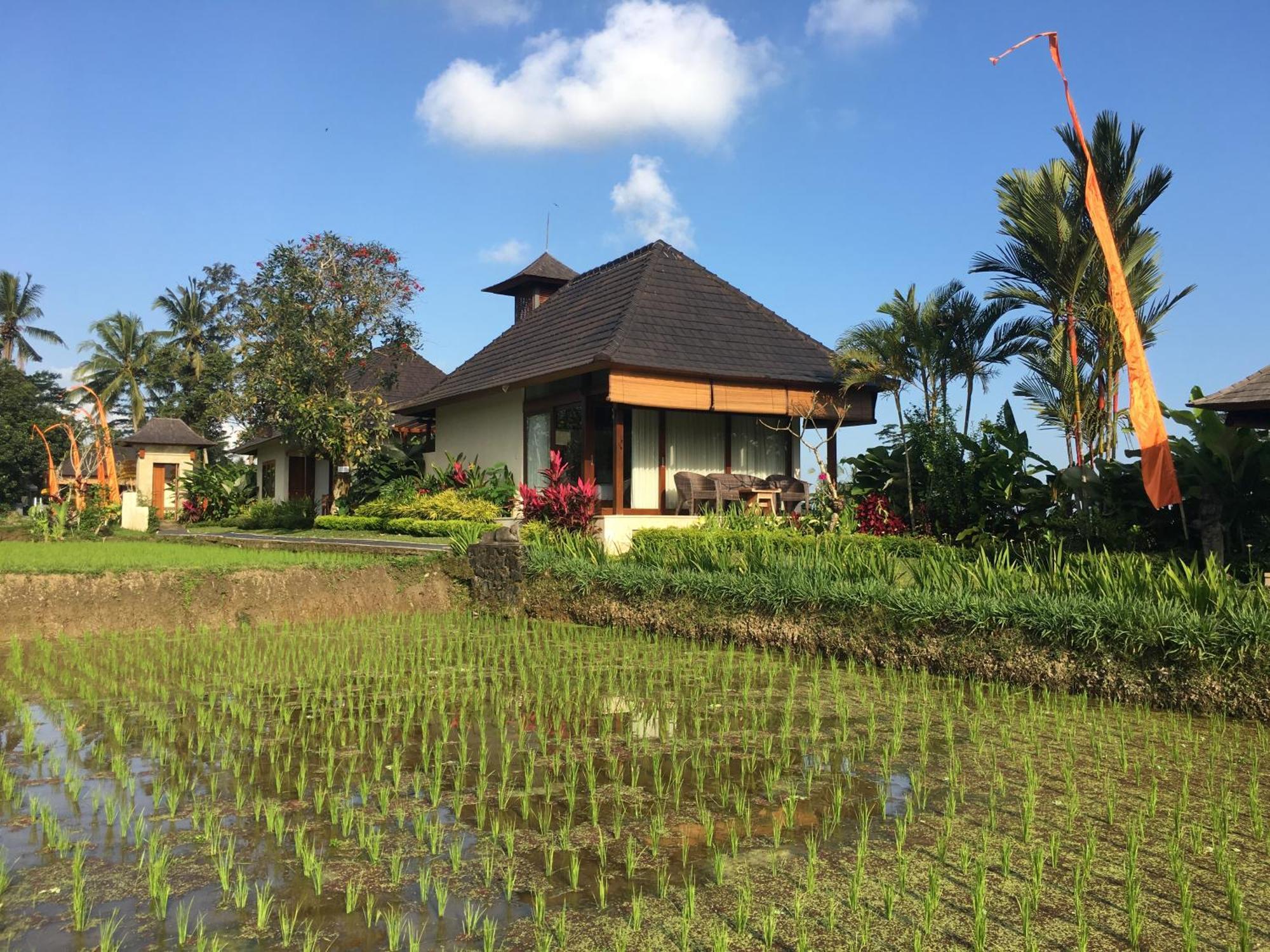 Puri Raya Villa Ubud Exteriör bild