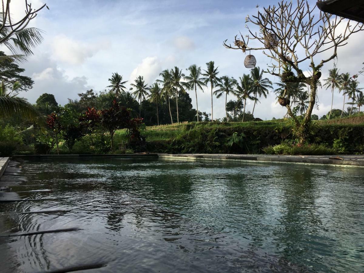 Puri Raya Villa Ubud Exteriör bild