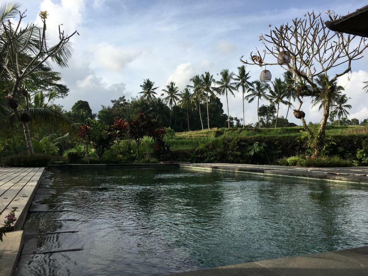 Puri Raya Villa Ubud Exteriör bild