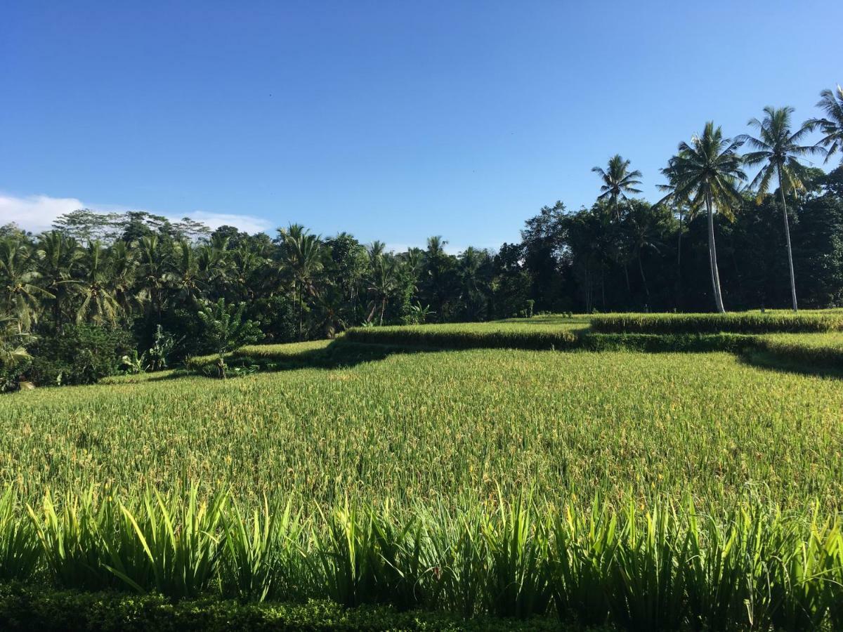 Puri Raya Villa Ubud Exteriör bild