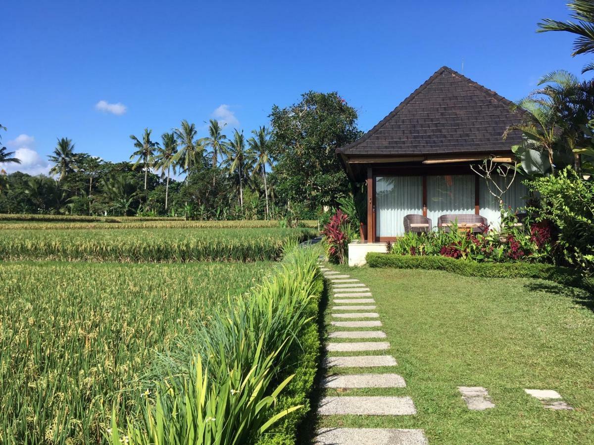 Puri Raya Villa Ubud Exteriör bild