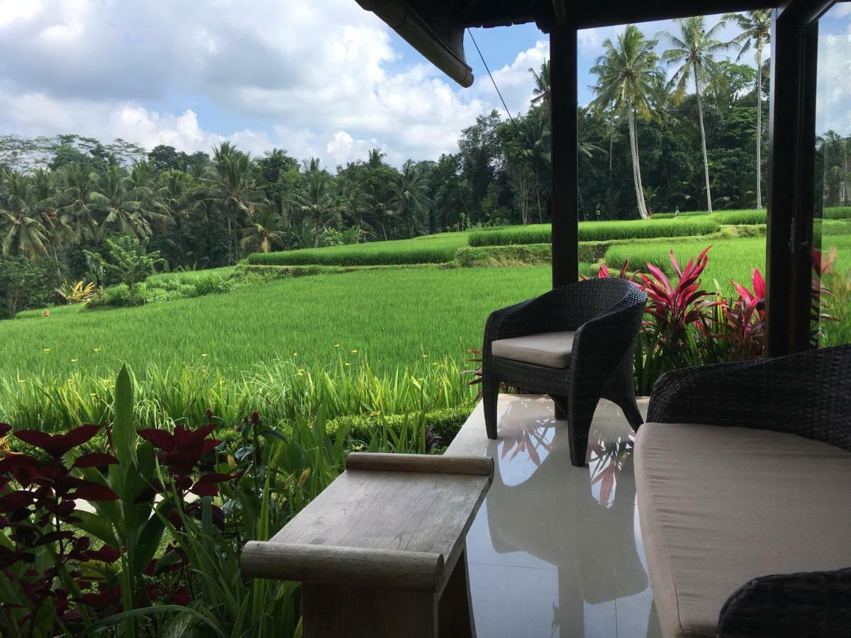 Puri Raya Villa Ubud Exteriör bild