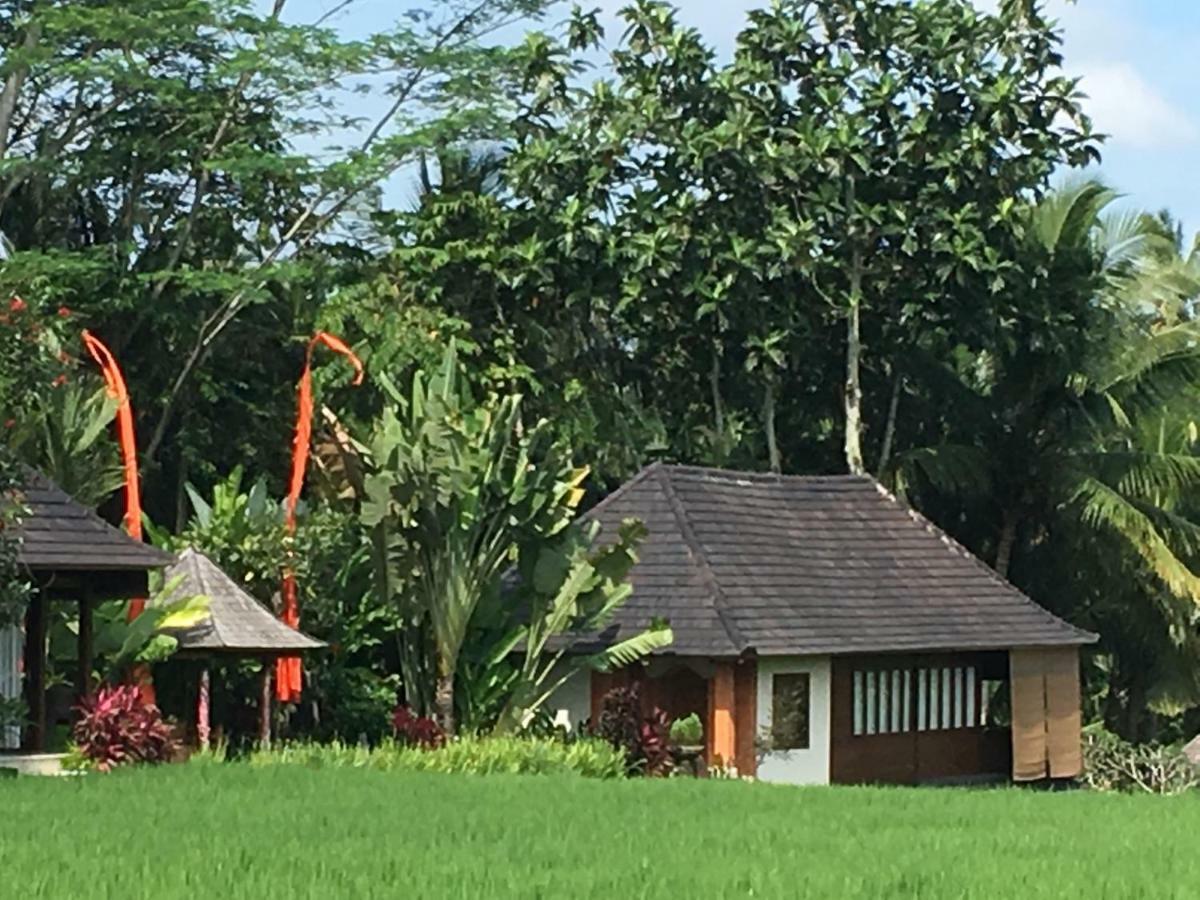 Puri Raya Villa Ubud Exteriör bild