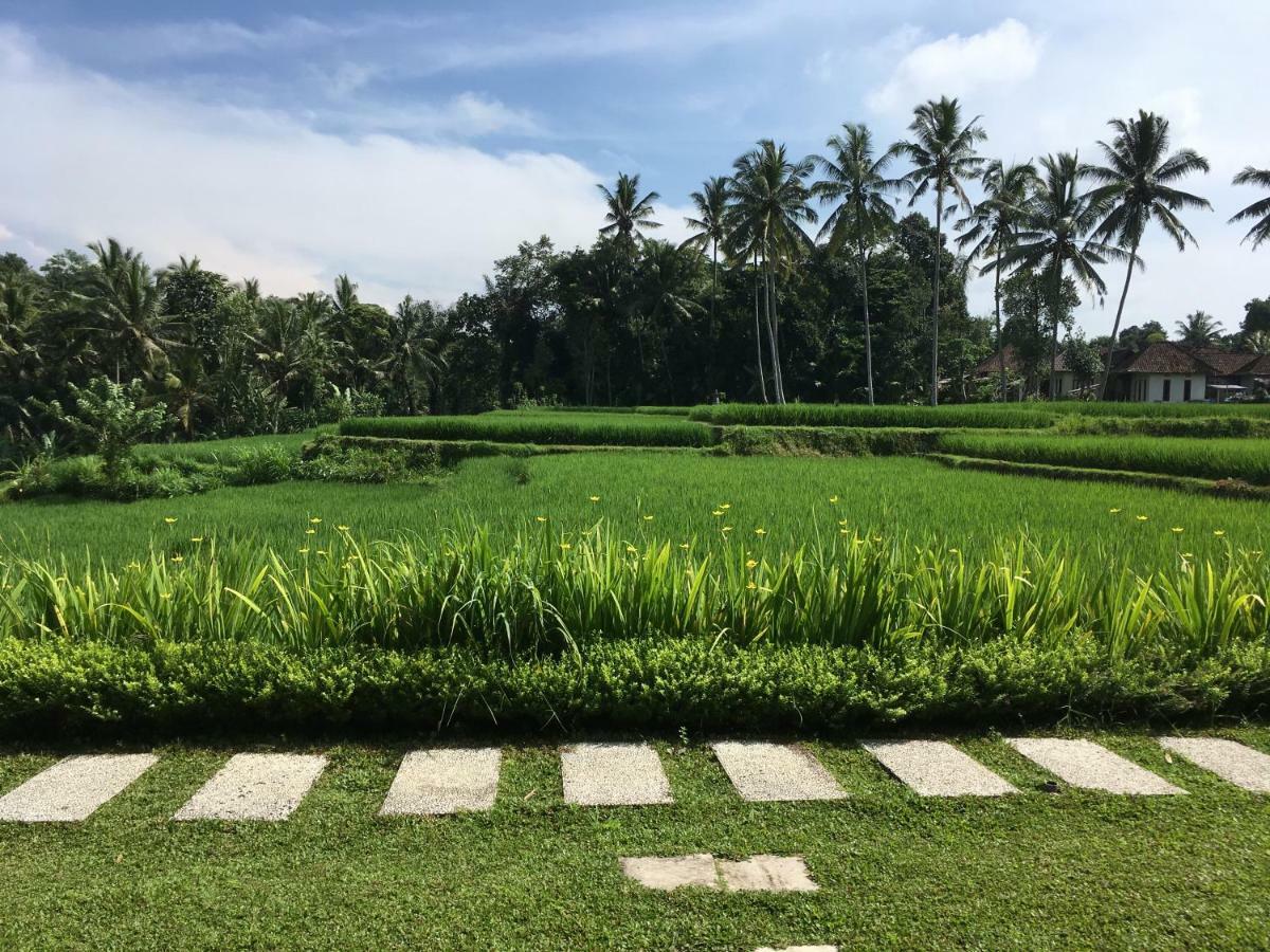 Puri Raya Villa Ubud Exteriör bild