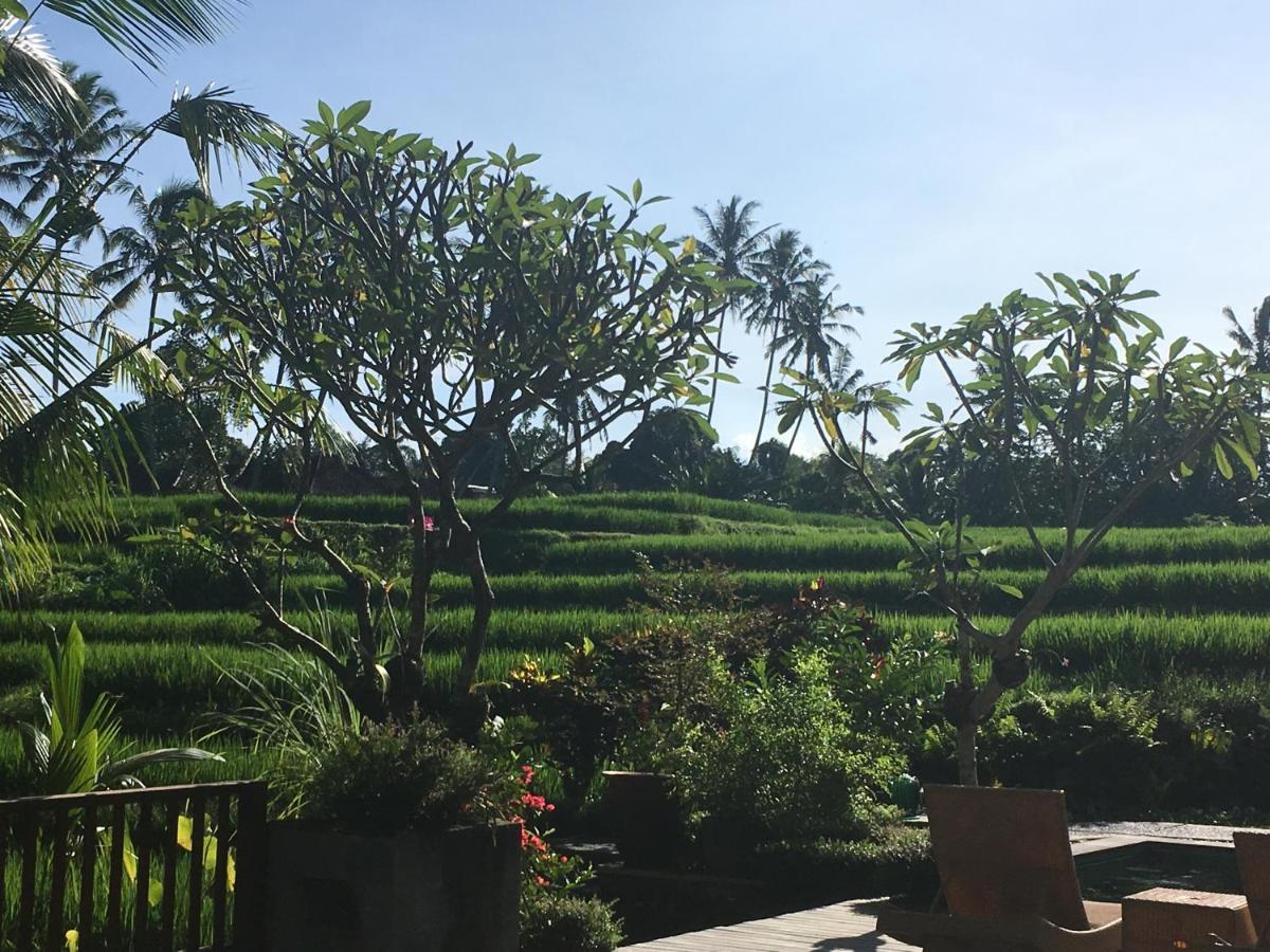 Puri Raya Villa Ubud Exteriör bild