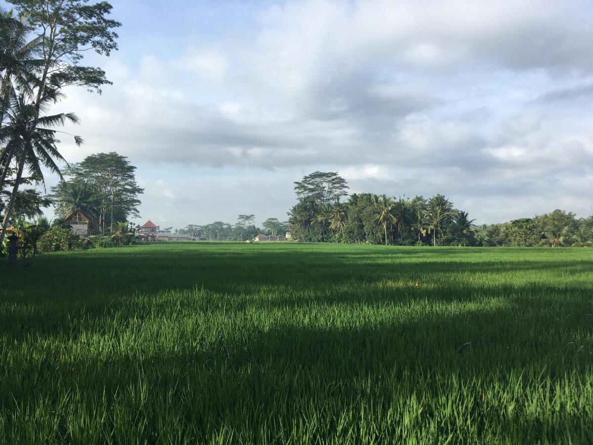 Puri Raya Villa Ubud Exteriör bild