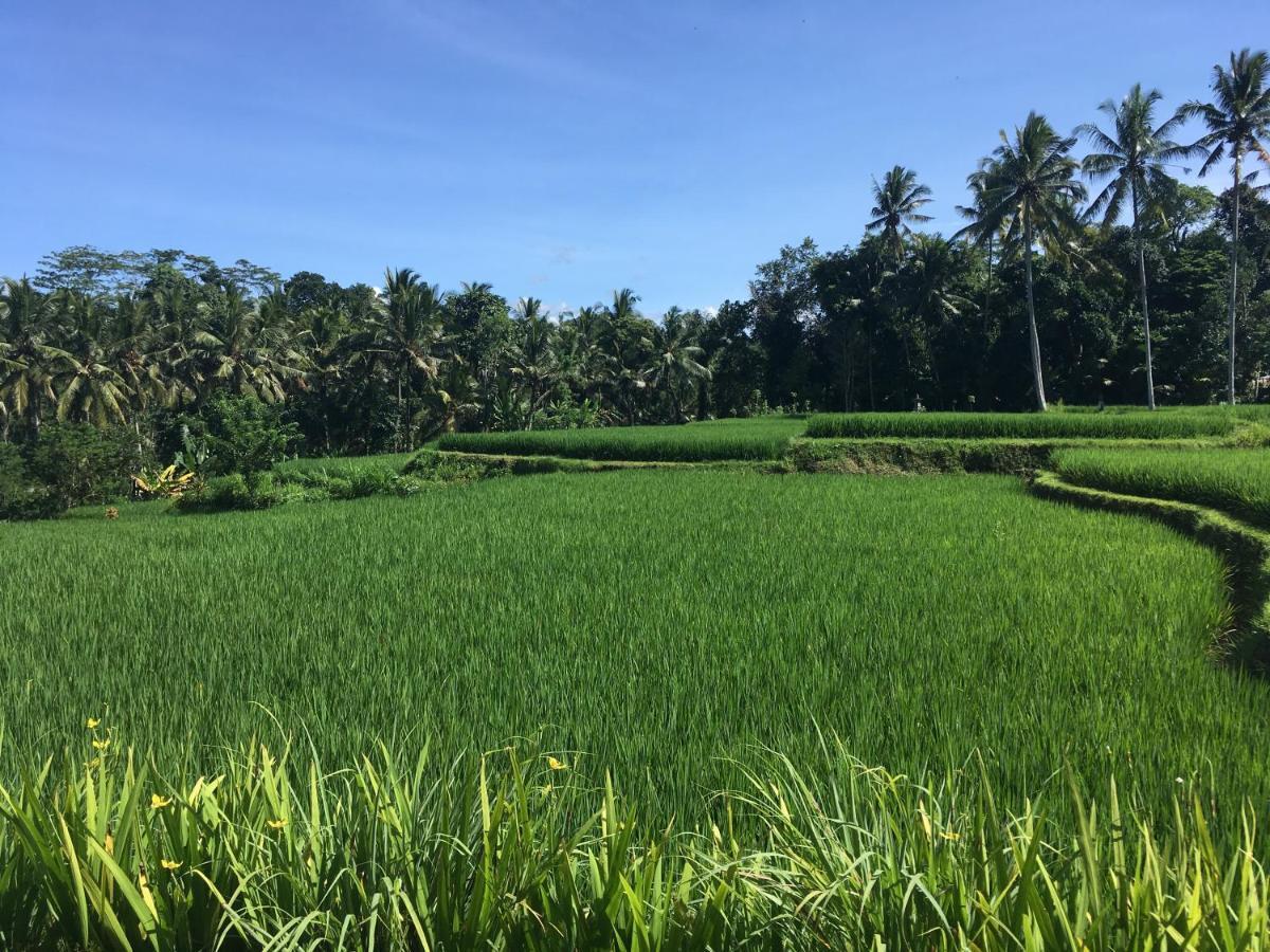 Puri Raya Villa Ubud Exteriör bild