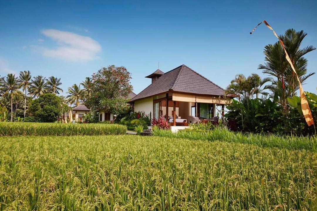 Puri Raya Villa Ubud Exteriör bild