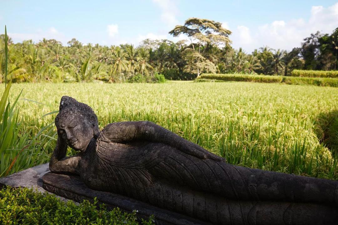 Puri Raya Villa Ubud Exteriör bild