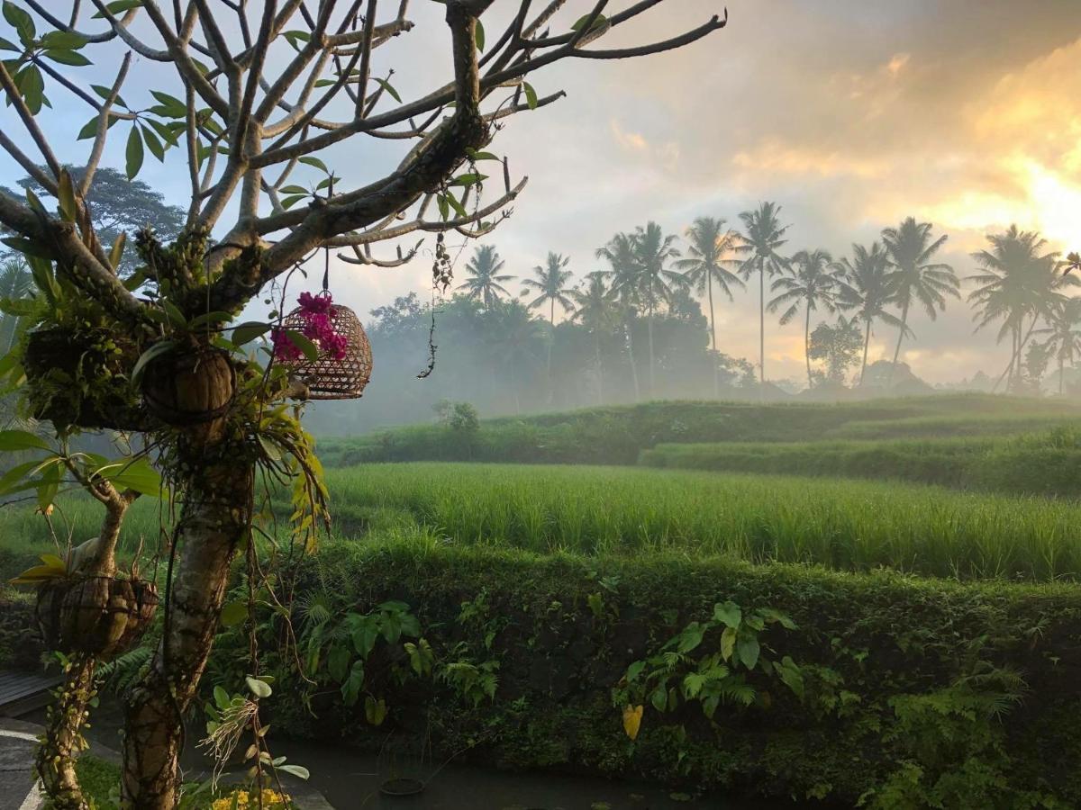 Puri Raya Villa Ubud Exteriör bild