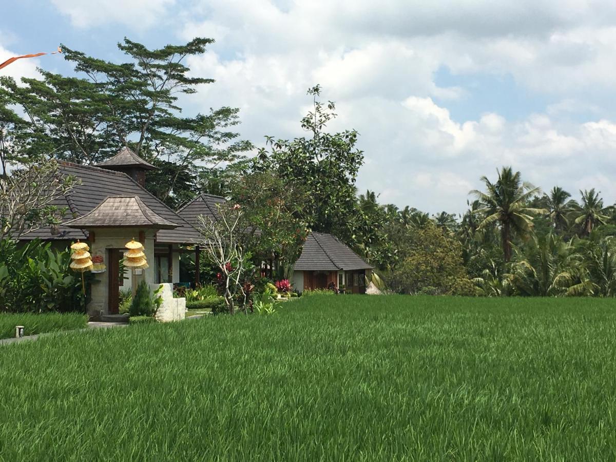 Puri Raya Villa Ubud Exteriör bild