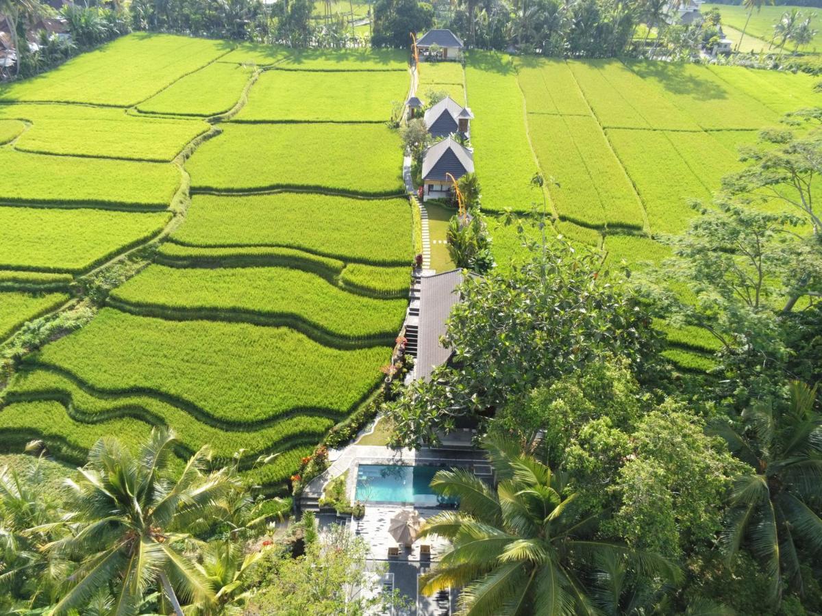 Puri Raya Villa Ubud Exteriör bild